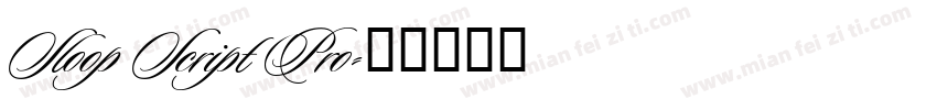Sloop Script Pro字体转换